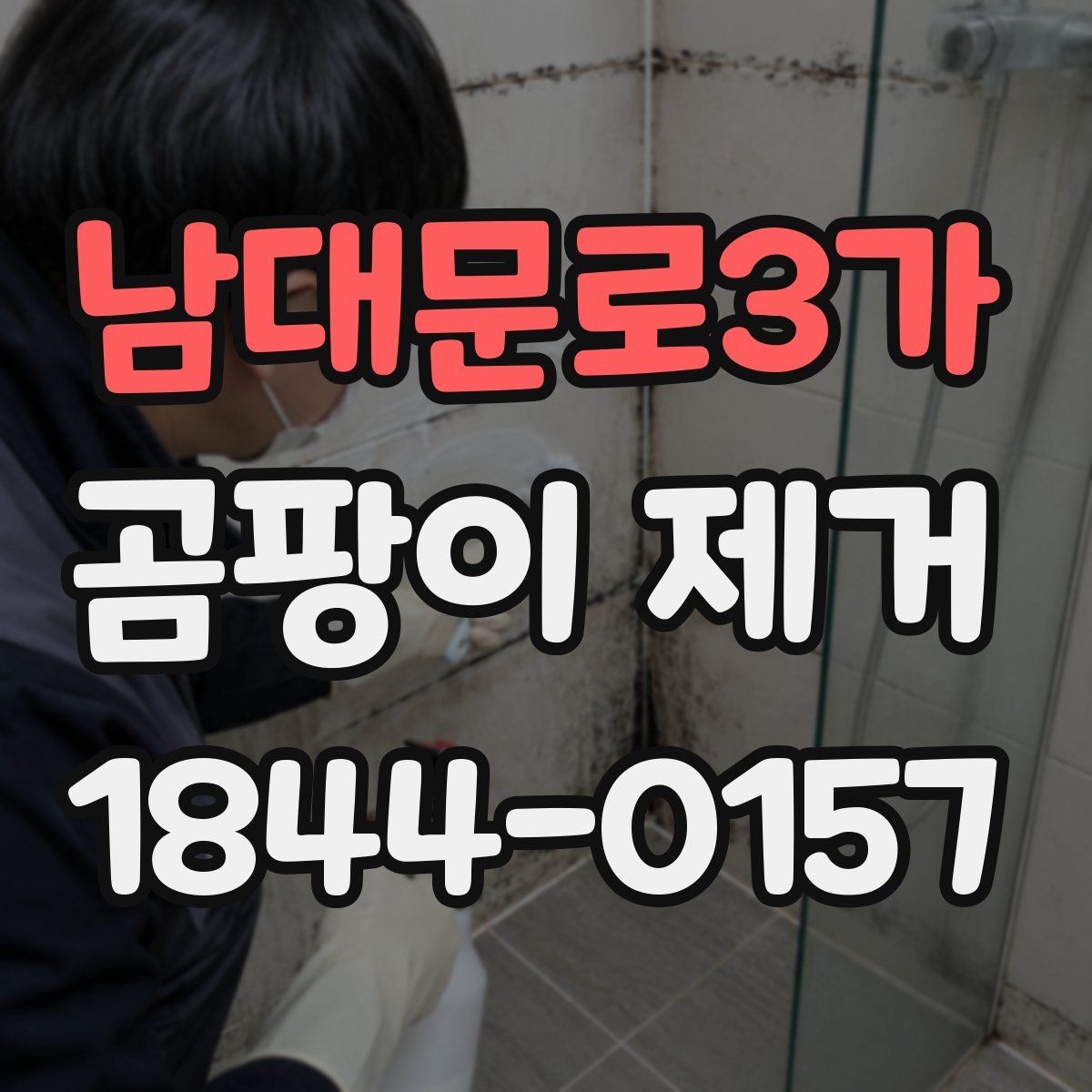 남대문로3가 곰팡이 제거