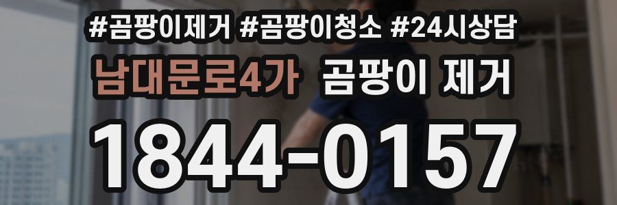 남대문로4가 곰팡이 제거
