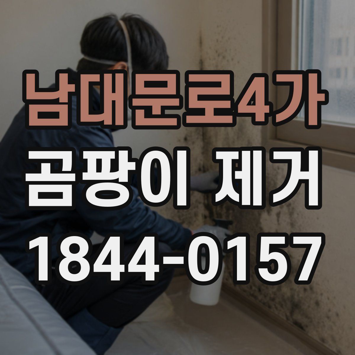 남대문로4가 곰팡이 제거