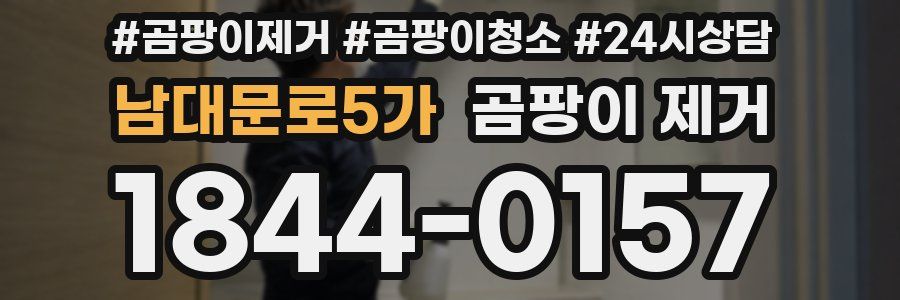남대문로5가 곰팡이 제거