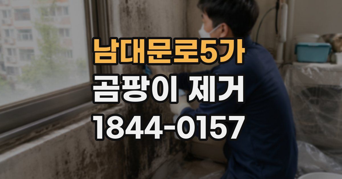 남대문로5가 곰팡이 제거
