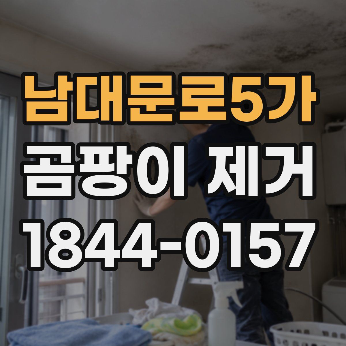 남대문로5가 곰팡이 제거
