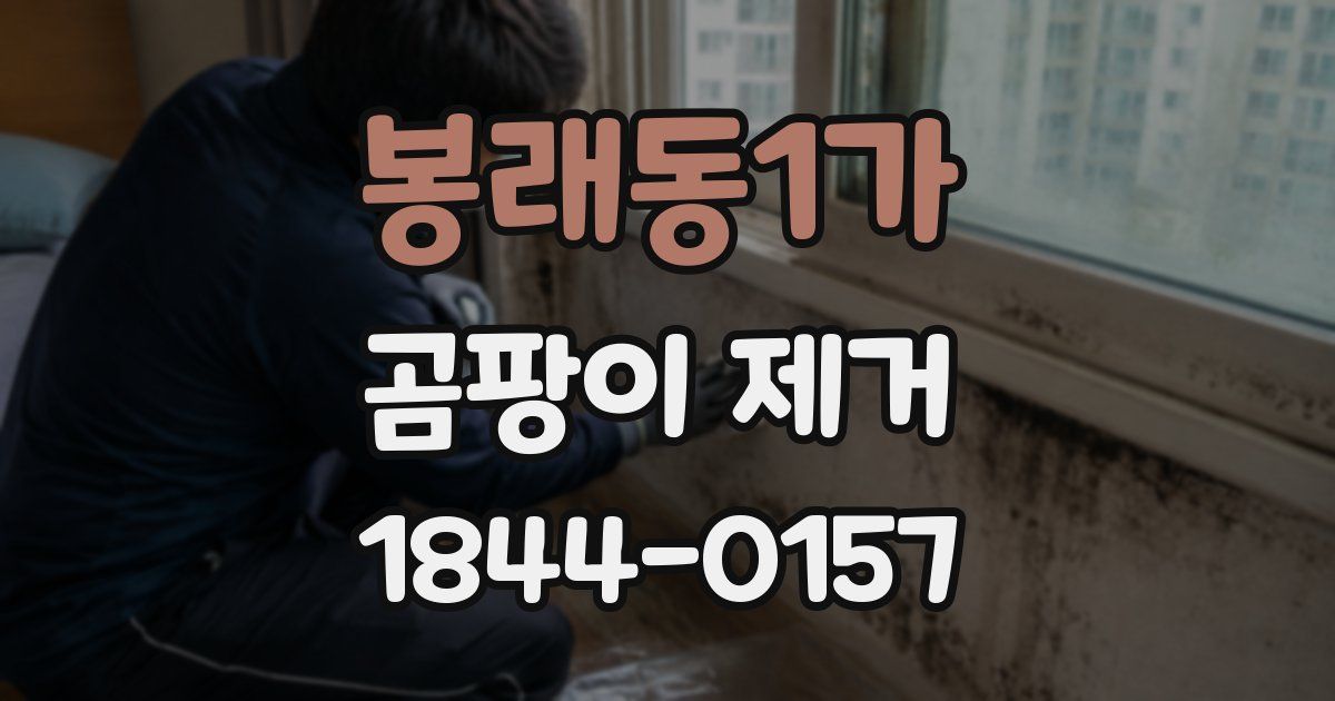 봉래동1가 곰팡이 제거