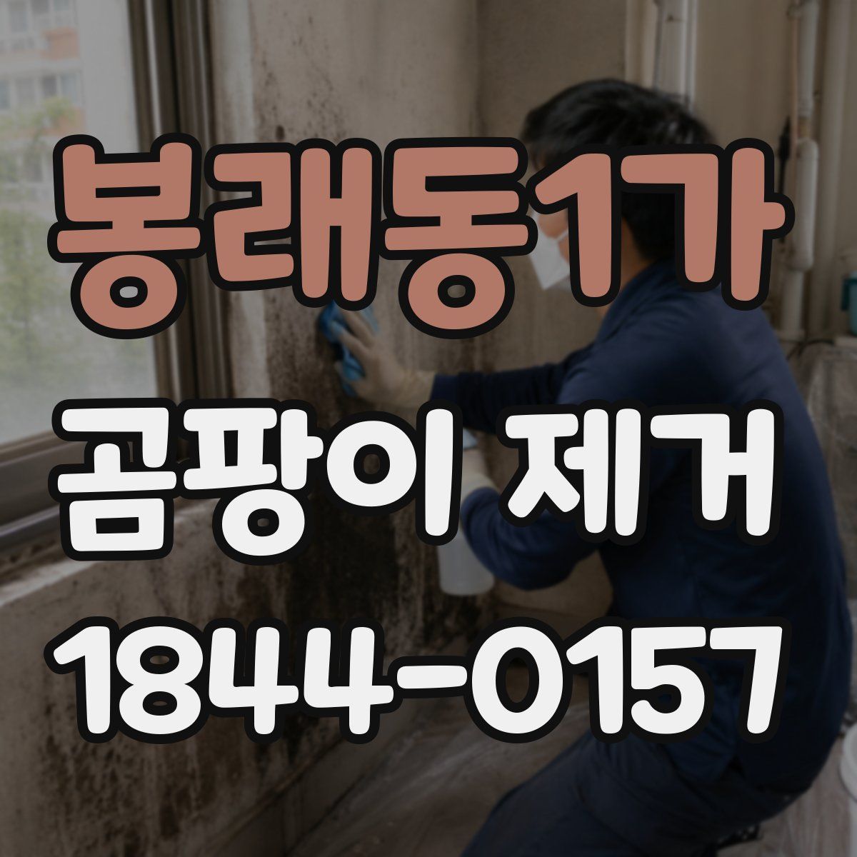 봉래동1가 곰팡이 제거