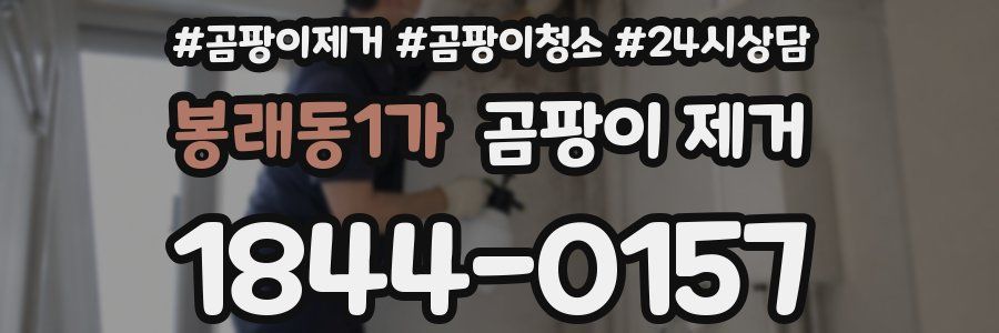 봉래동1가 곰팡이 제거