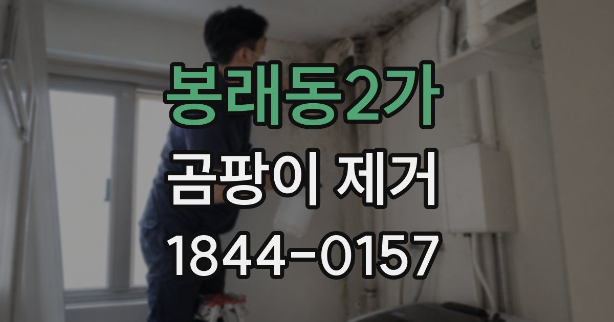 봉래동2가 곰팡이 제거