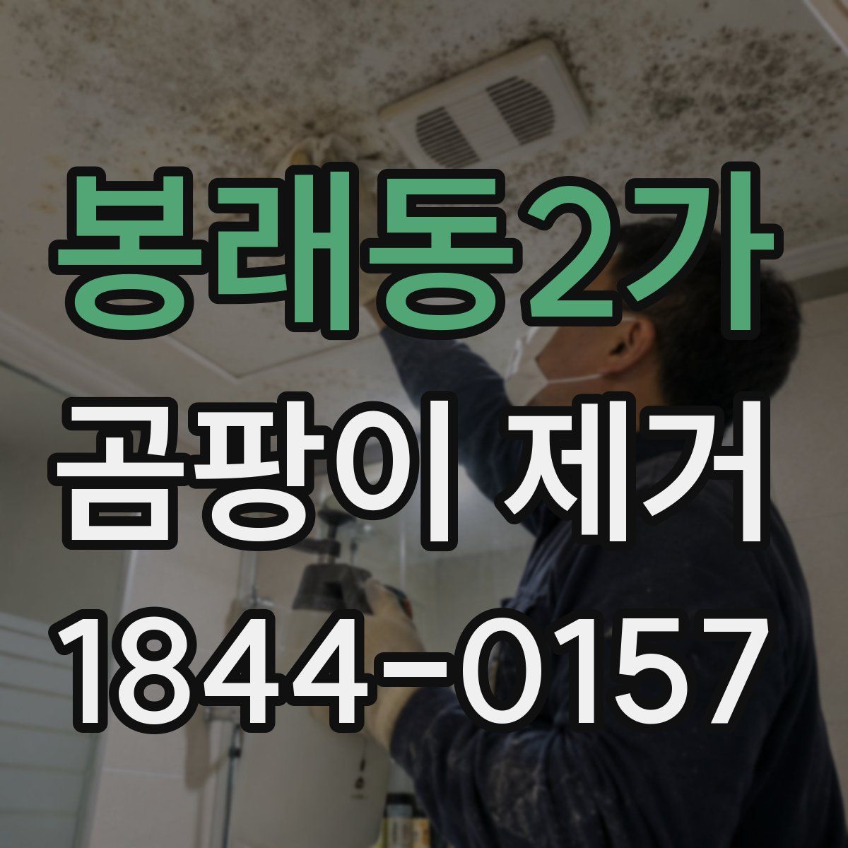 봉래동2가 곰팡이 제거
