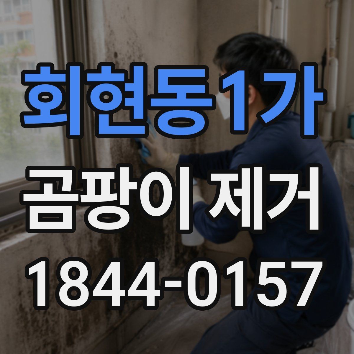 회현동1가 곰팡이 제거 계절 바뀔 때 반복되는 자리들