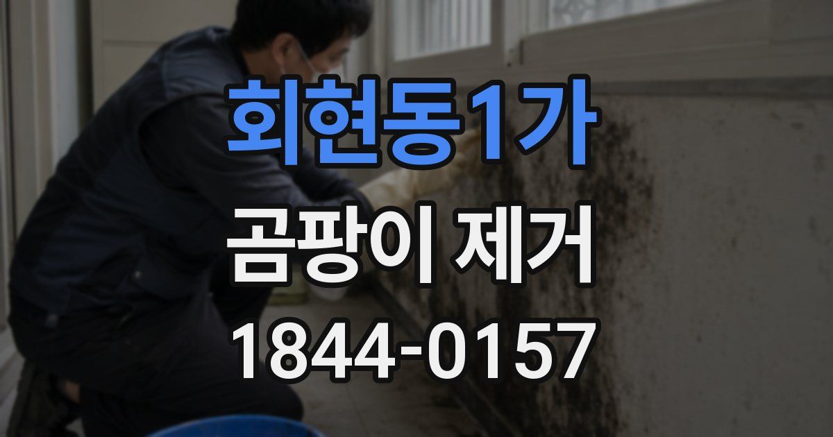 회현동1가 곰팡이 제거