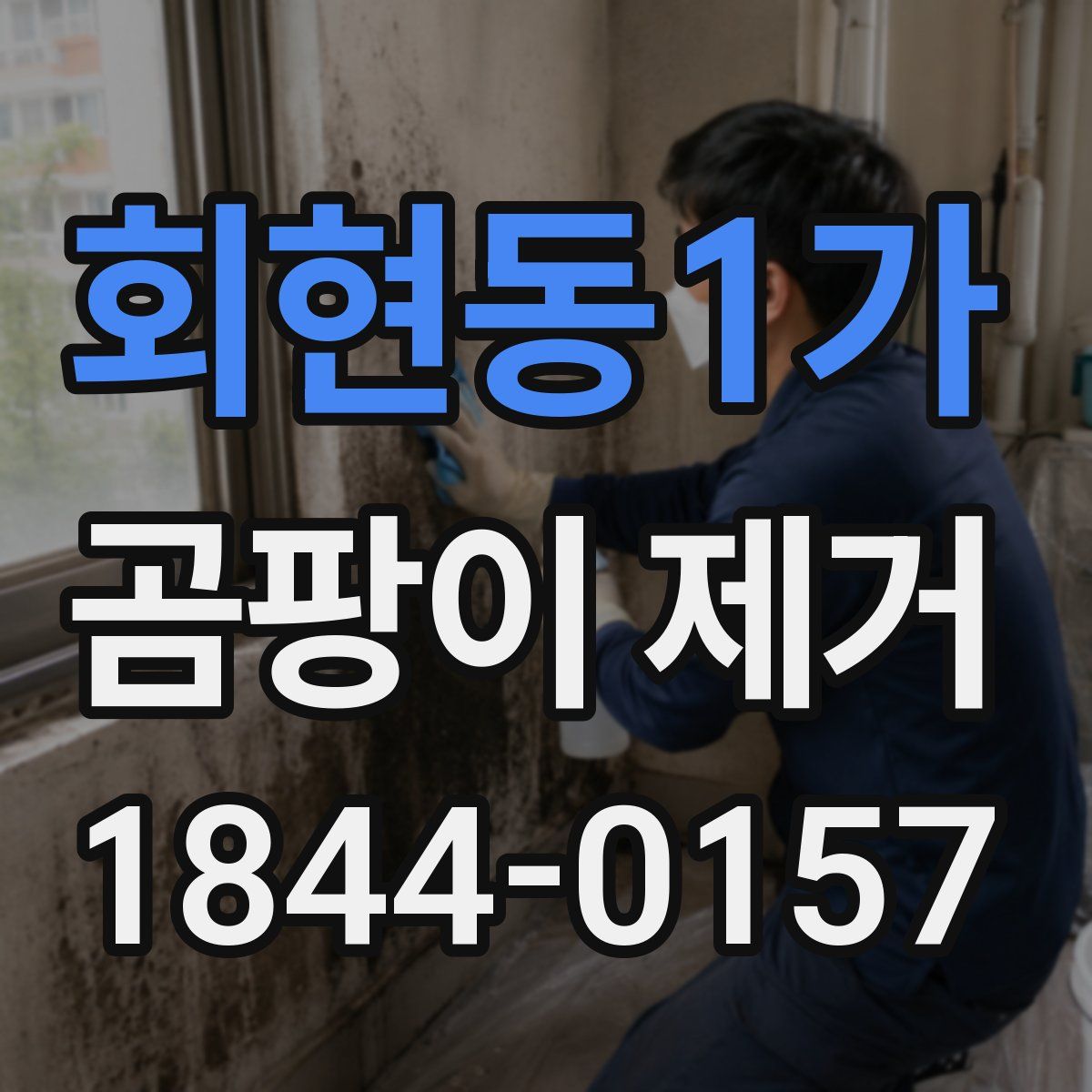 회현동1가 곰팡이 제거