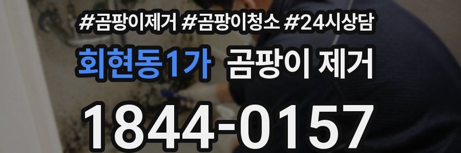 회현동1가 곰팡이 제거
