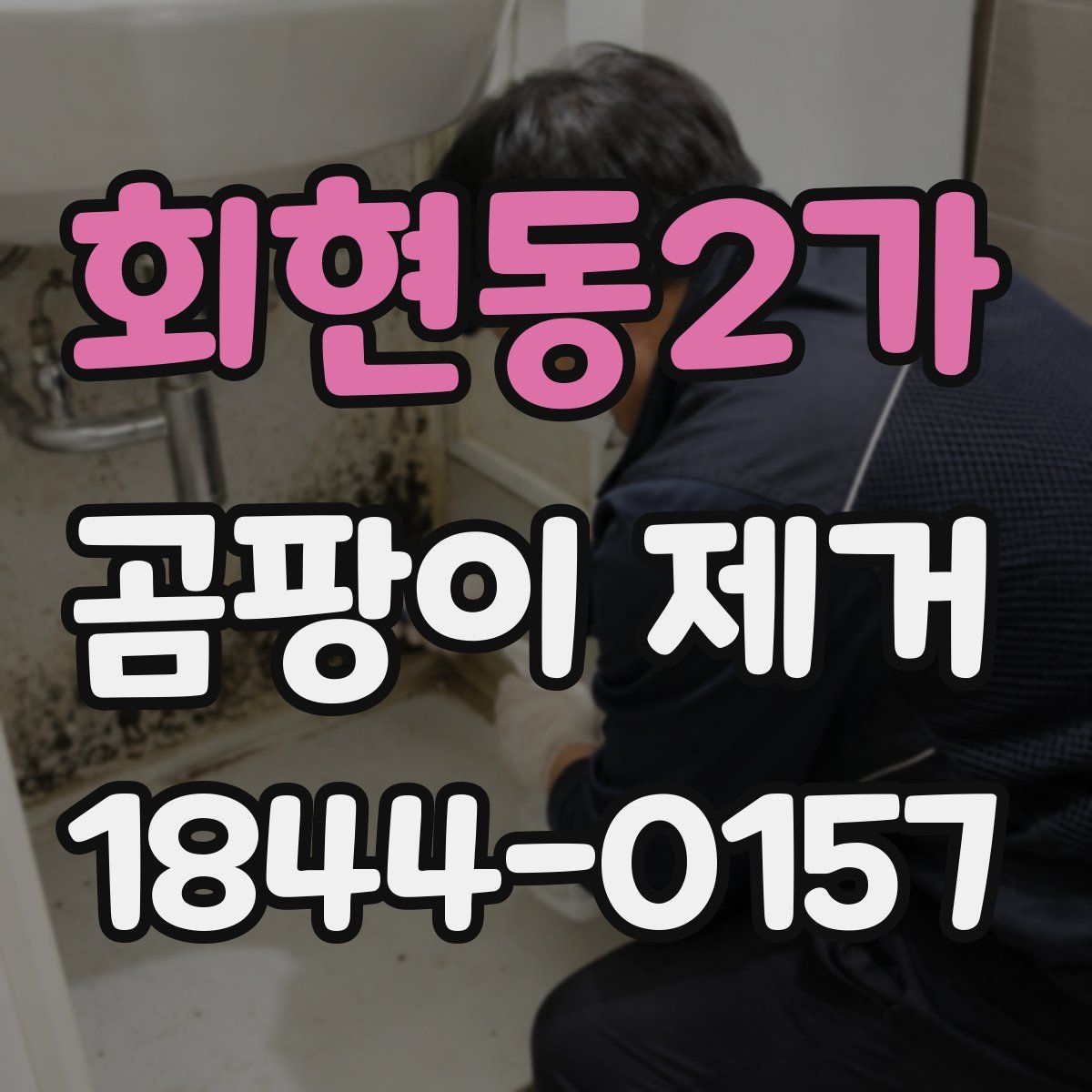 회현동2가 곰팡이 제거