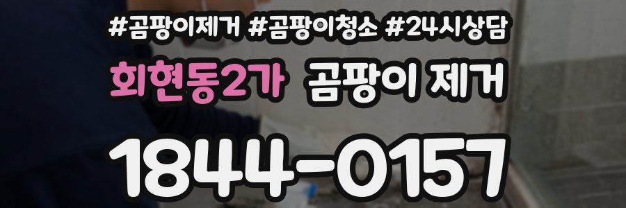 회현동2가 곰팡이 제거