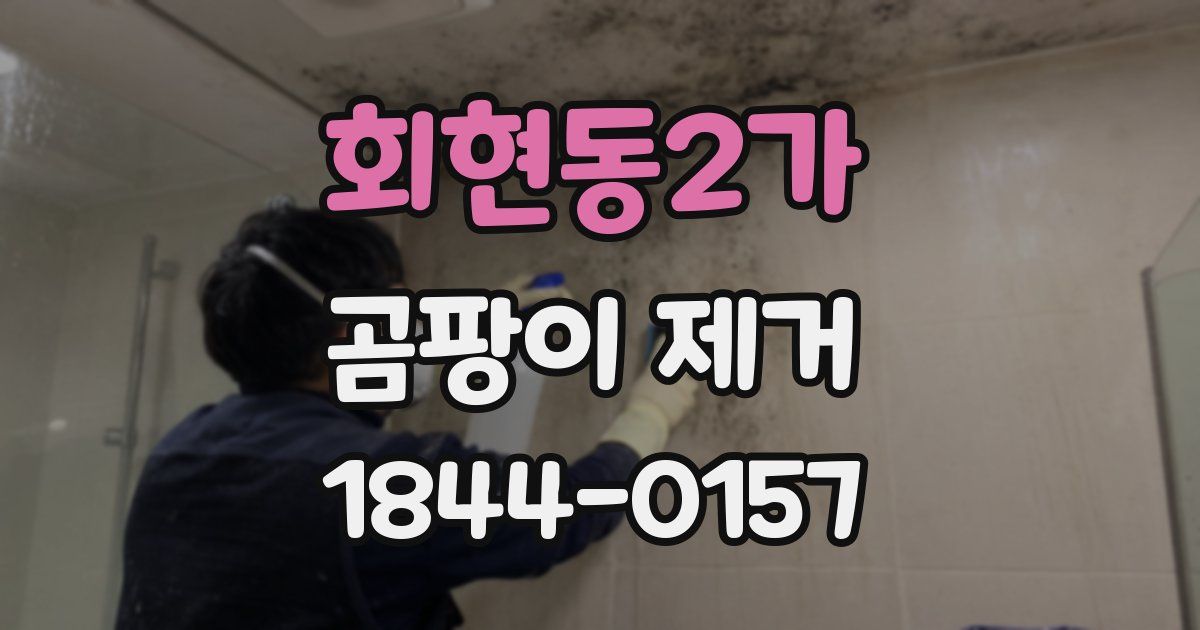 회현동2가 곰팡이 제거