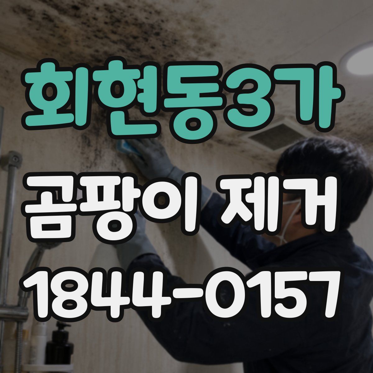 회현동3가 곰팡이 제거