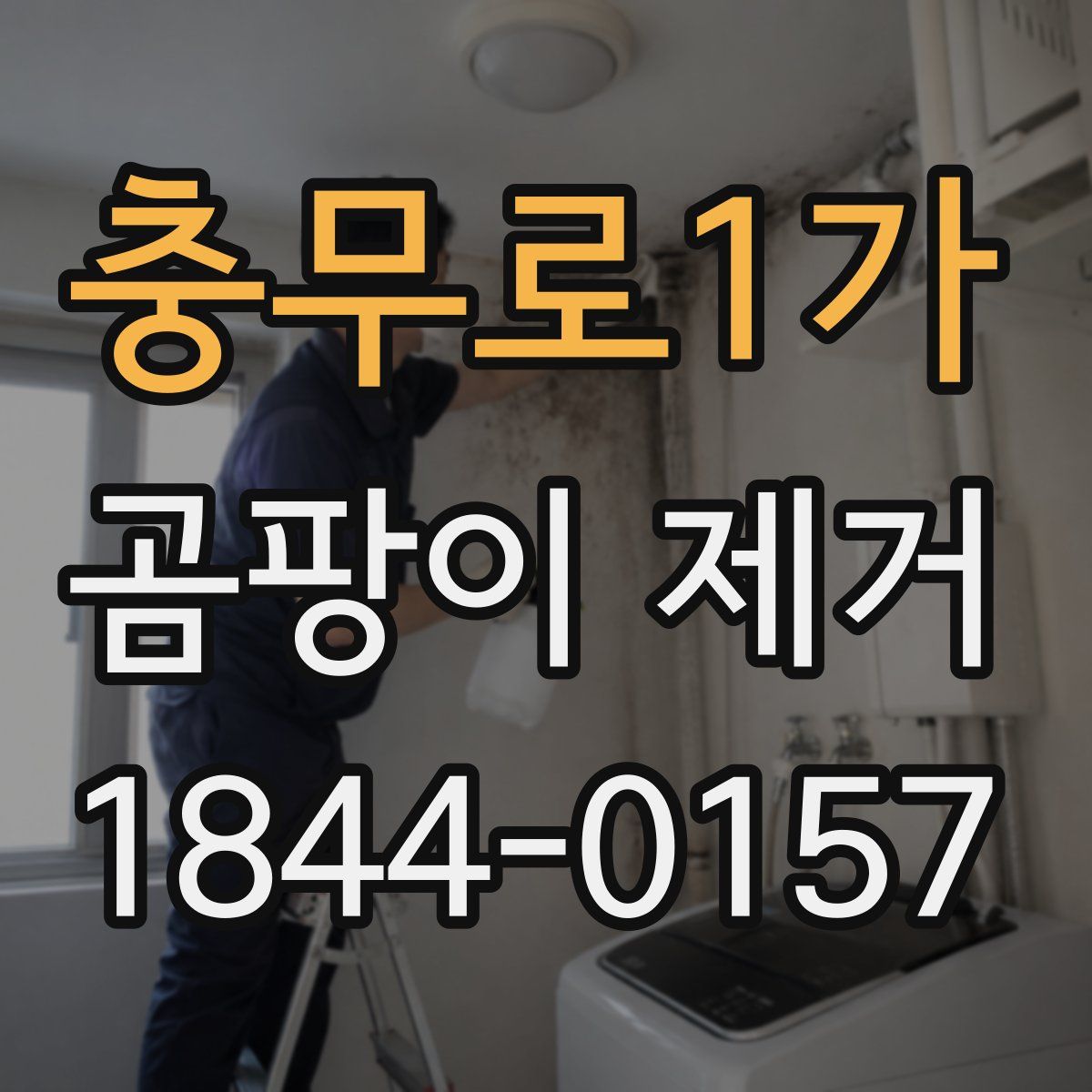 충무로1가 곰팡이 제거