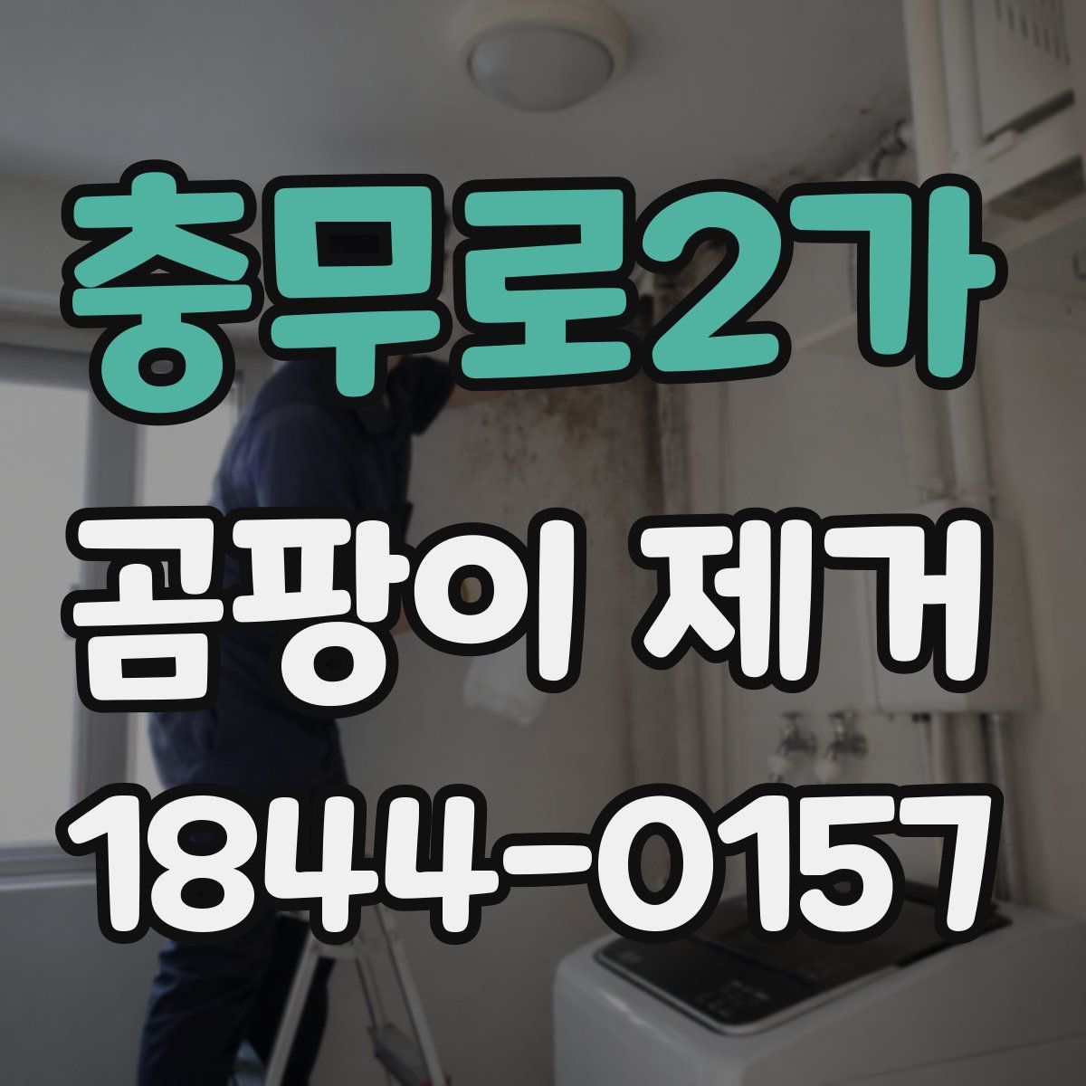 충무로2가 곰팡이 제거