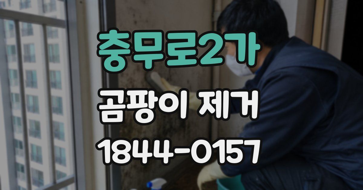 충무로2가 곰팡이 제거