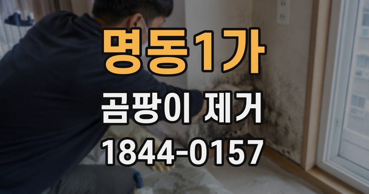 명동1가 곰팡이 제거