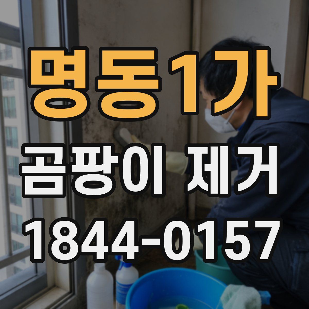 명동1가 곰팡이 제거