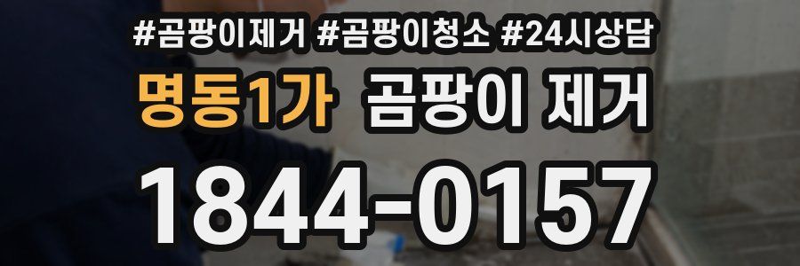 명동1가 곰팡이 제거