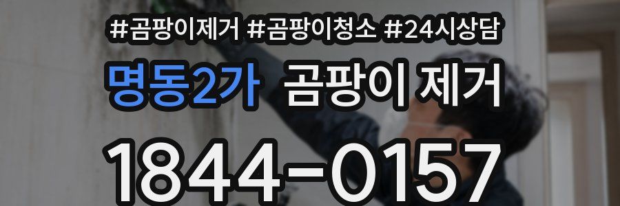 명동2가 곰팡이 제거