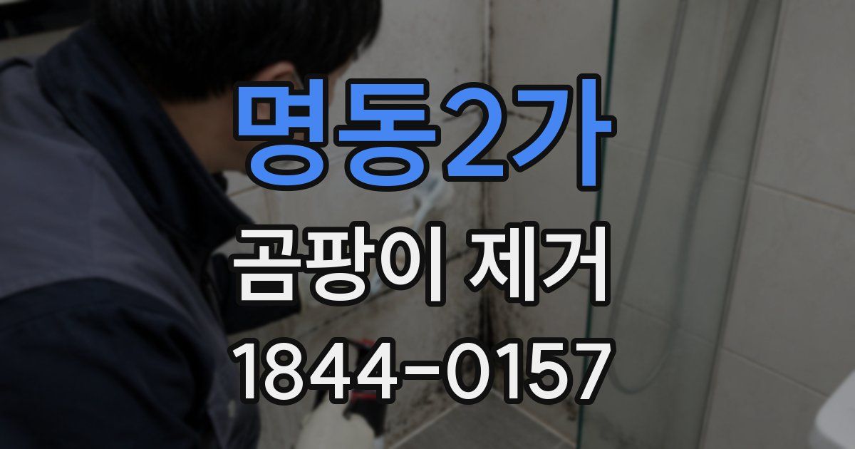 명동2가 곰팡이 제거