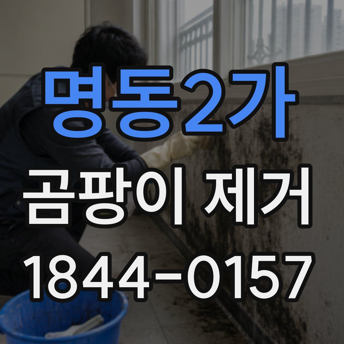 명동2가 곰팡이 제거