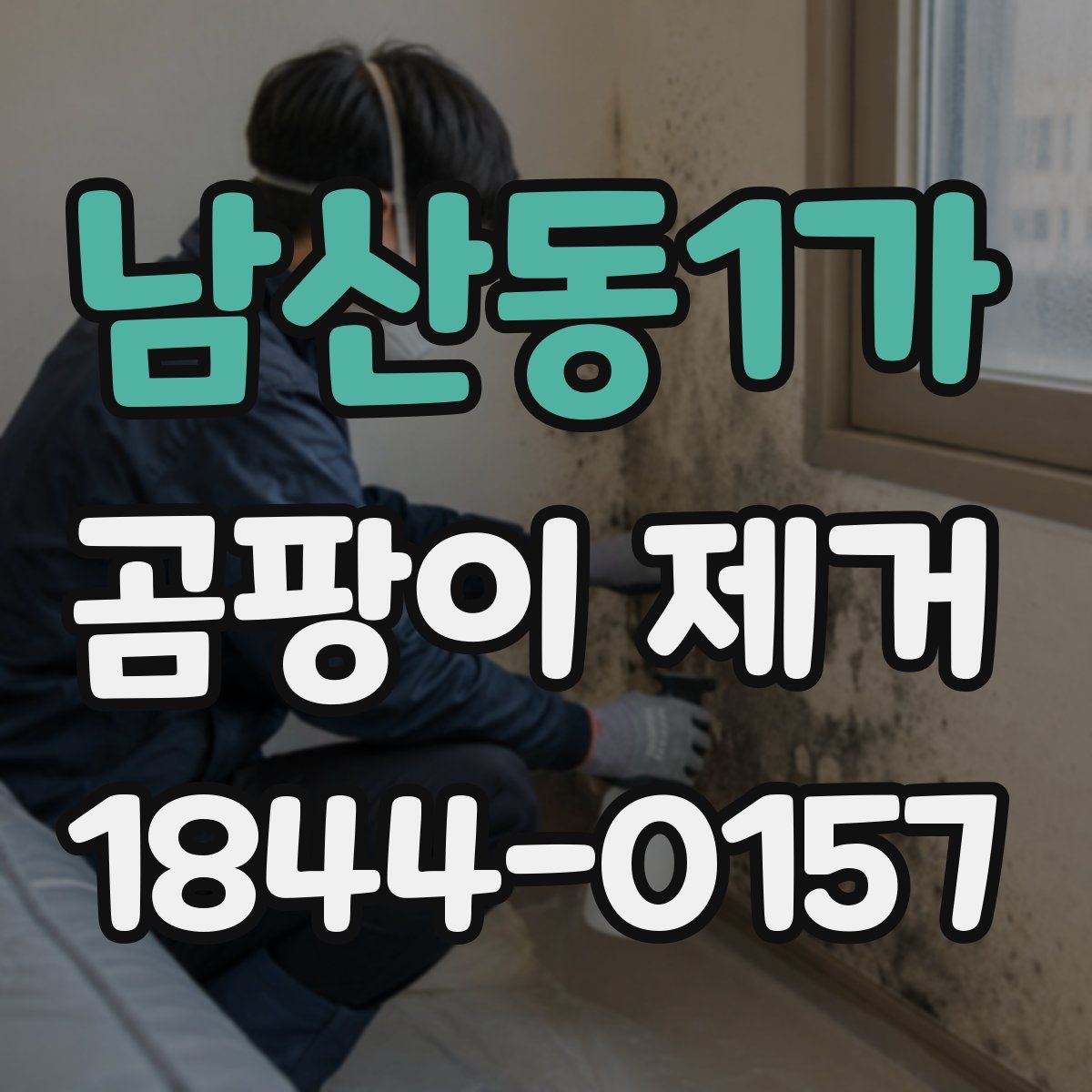 남산동1가 곰팡이 제거