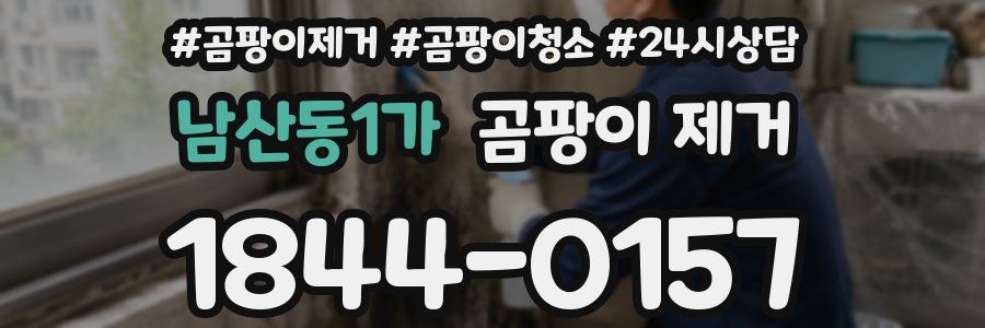 남산동1가 곰팡이 제거