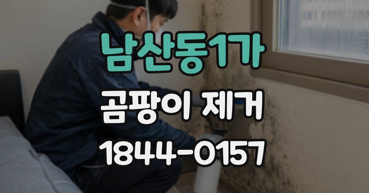 남산동1가 곰팡이 제거
