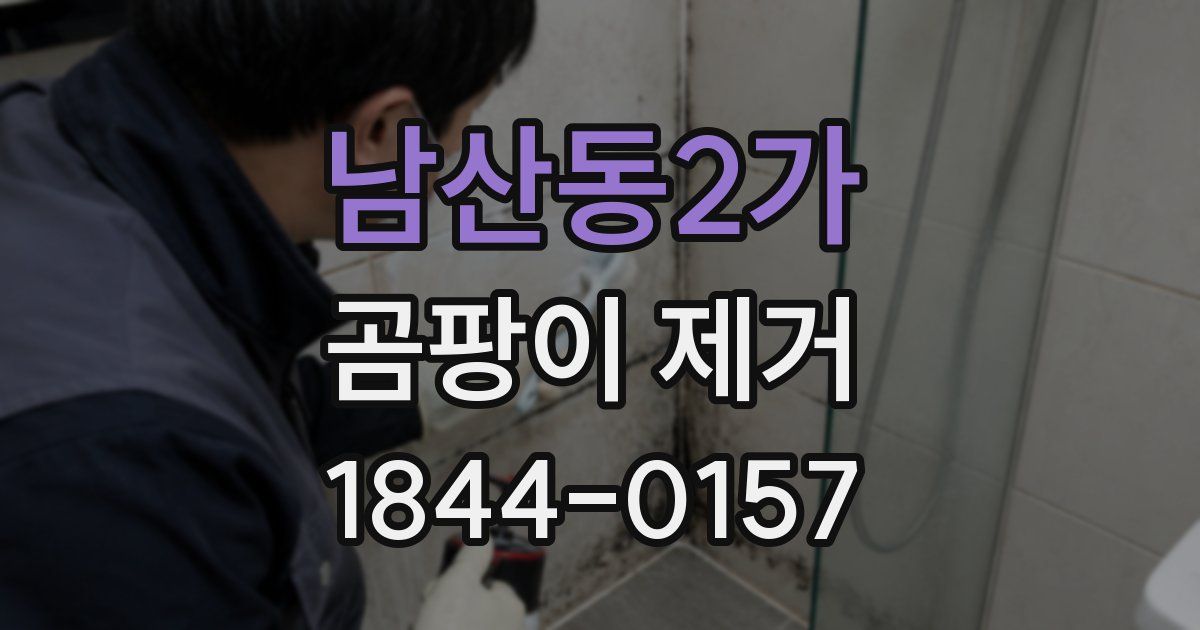 남산동2가 곰팡이 제거