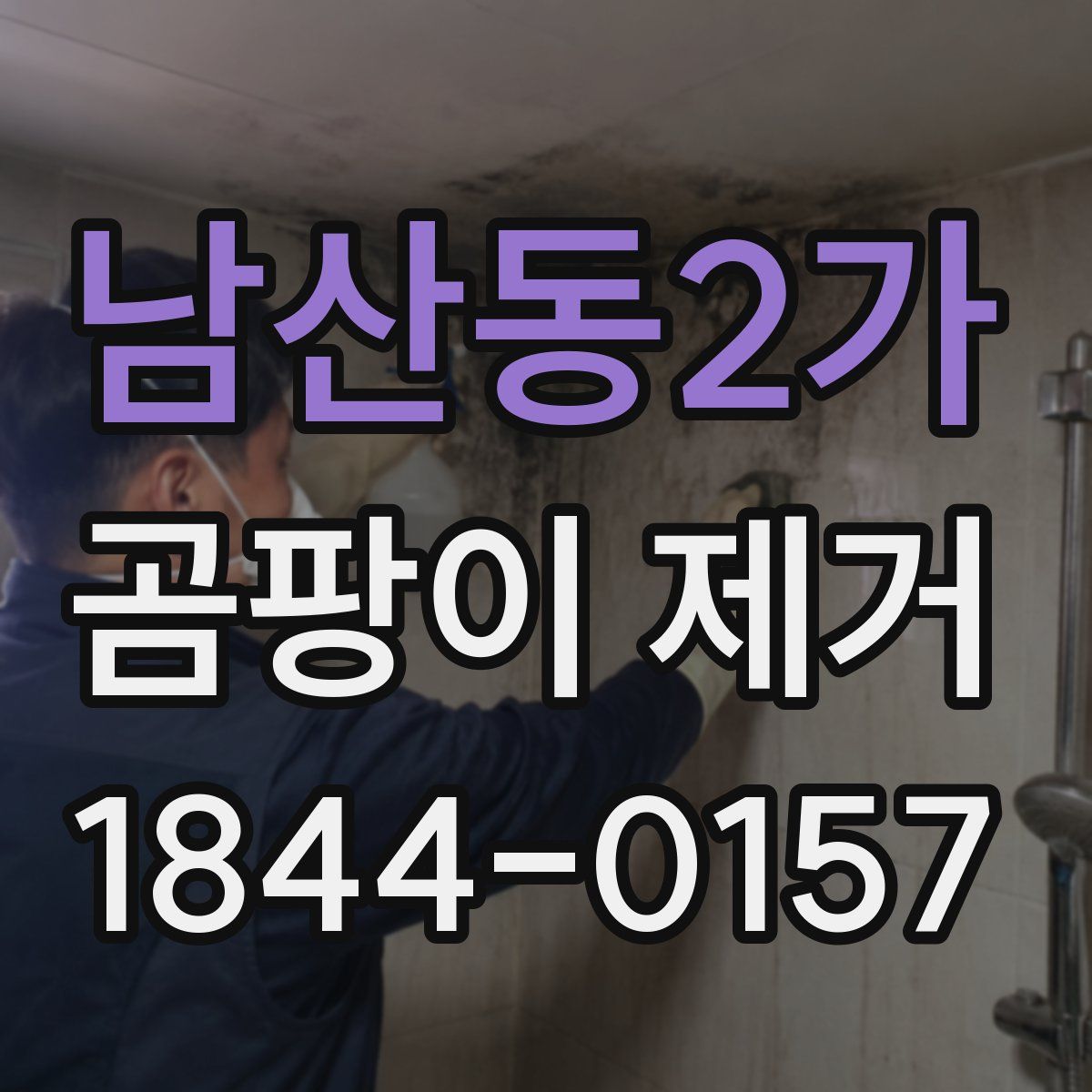 남산동2가 곰팡이 제거