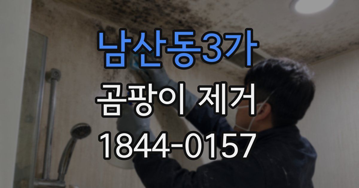 남산동3가 곰팡이 제거