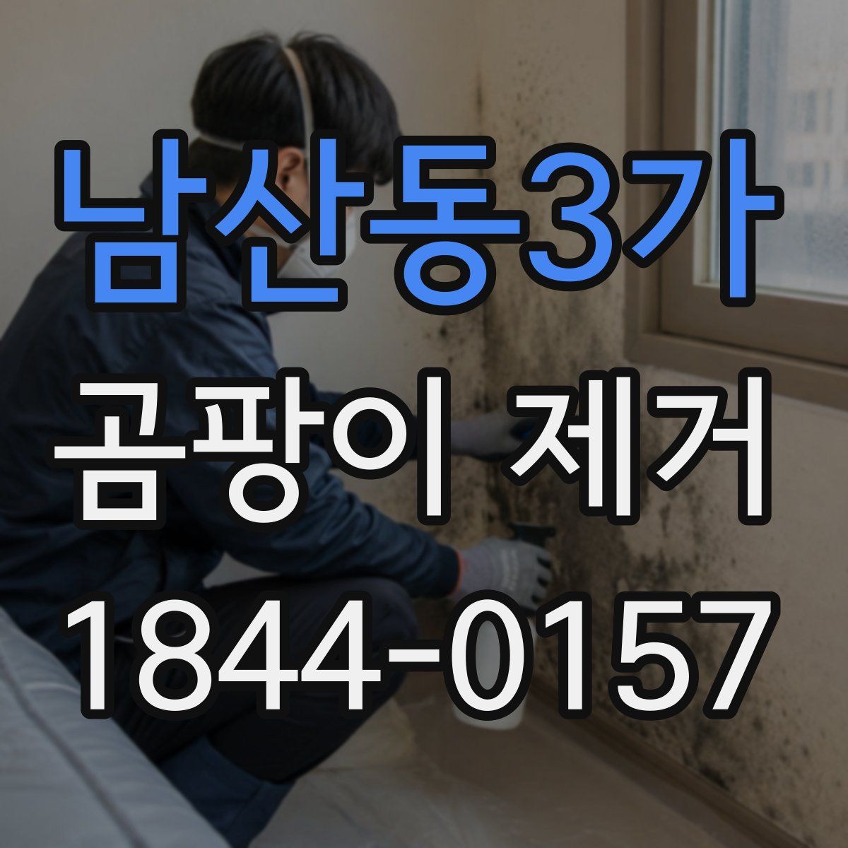 남산동3가 곰팡이 제거