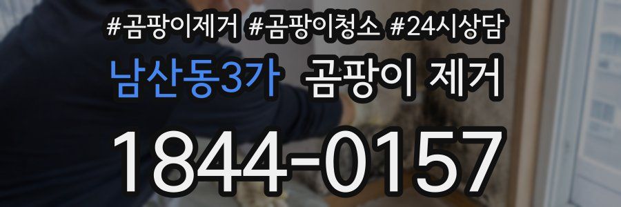 남산동3가 곰팡이 제거