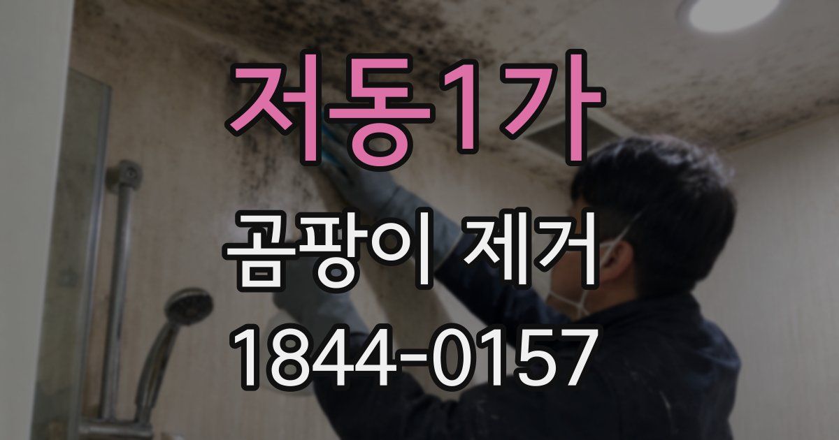 저동1가 곰팡이 제거