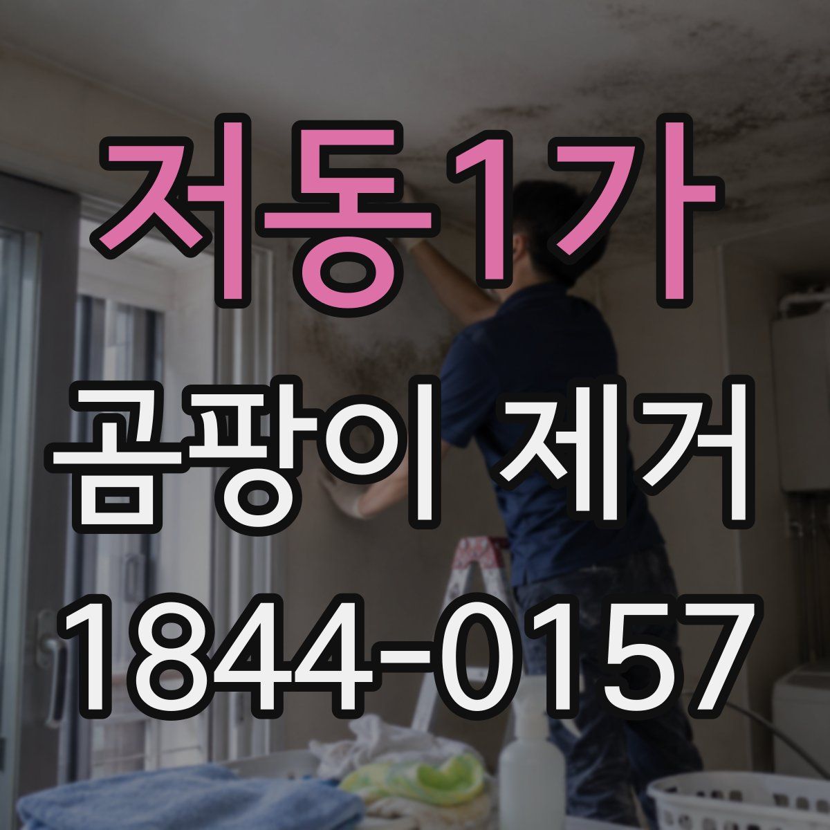 저동1가 곰팡이 제거