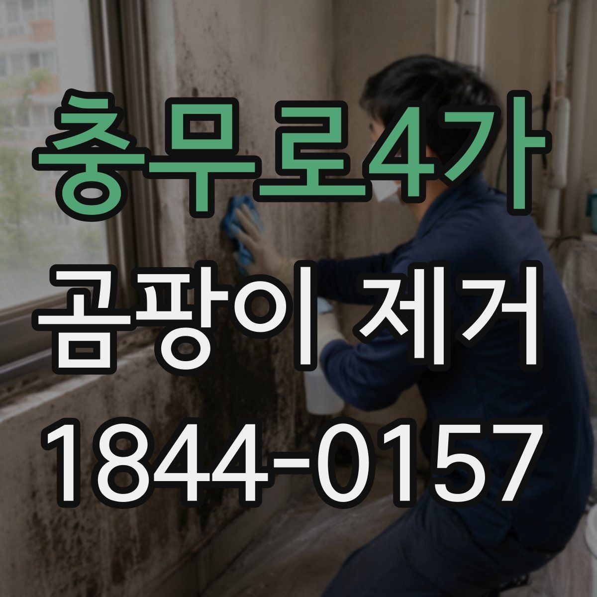충무로4가 곰팡이 제거 목재와 천 소재 오염, 다루는 순서