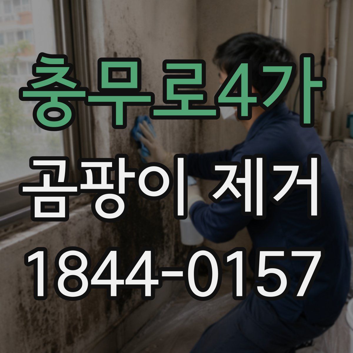 충무로4가 곰팡이 제거