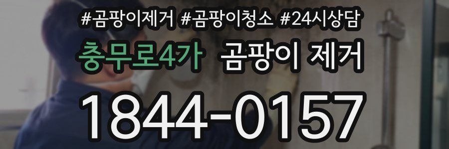 충무로4가 곰팡이 제거
