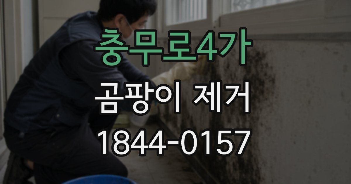 충무로4가 곰팡이 제거