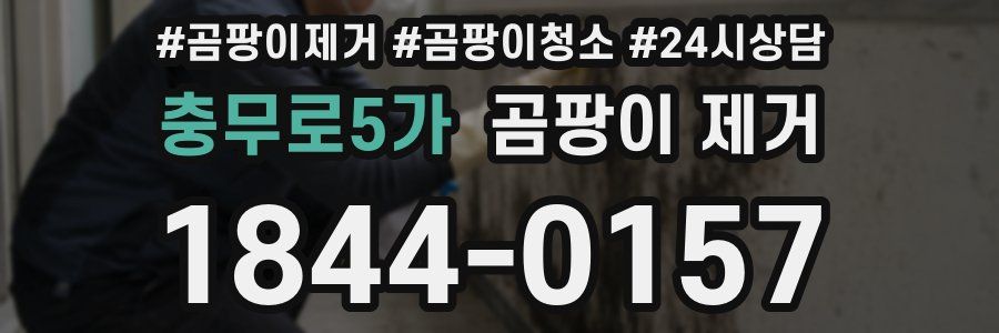 충무로5가 곰팡이 제거