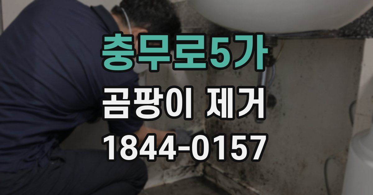 충무로5가 곰팡이 제거