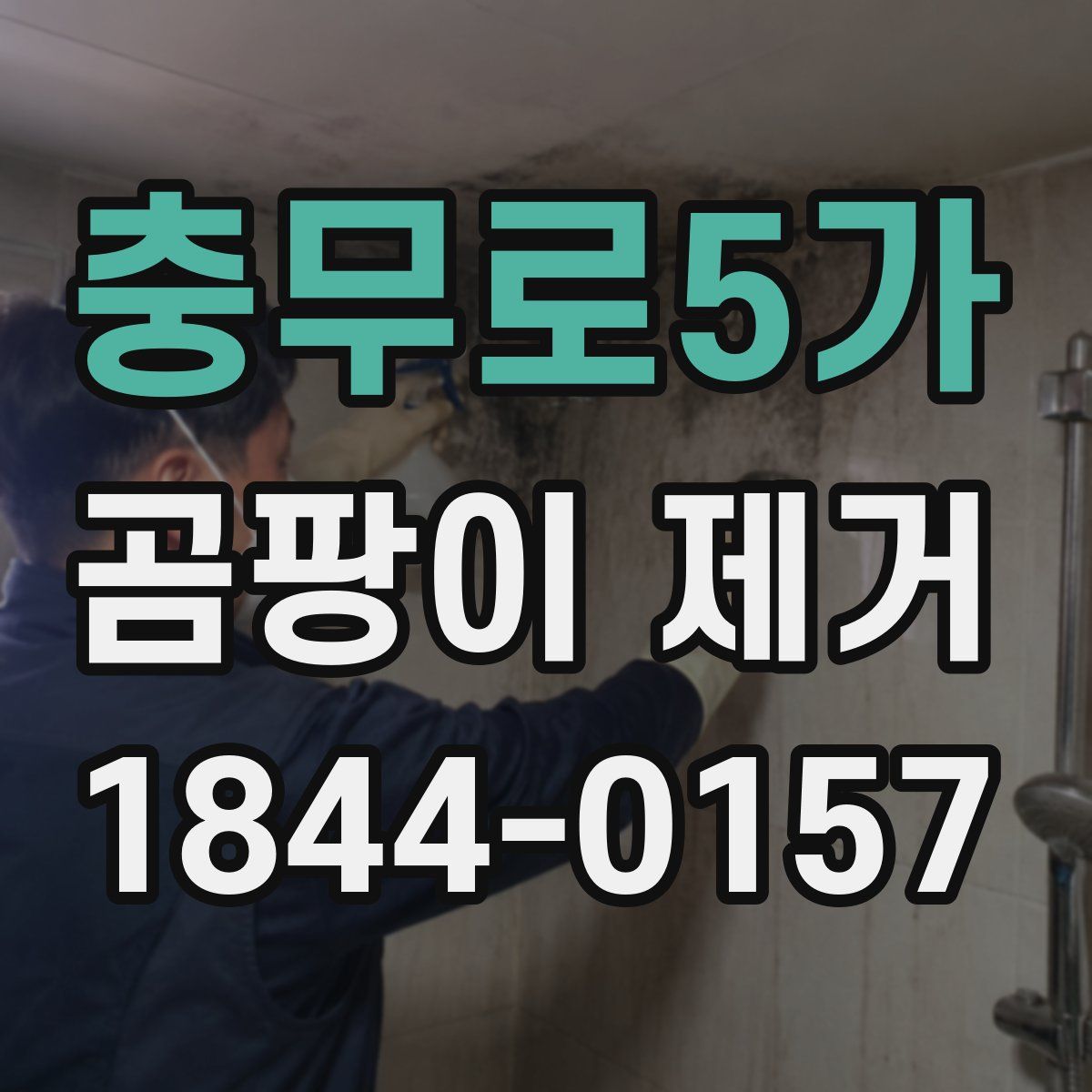 충무로5가 곰팡이 제거