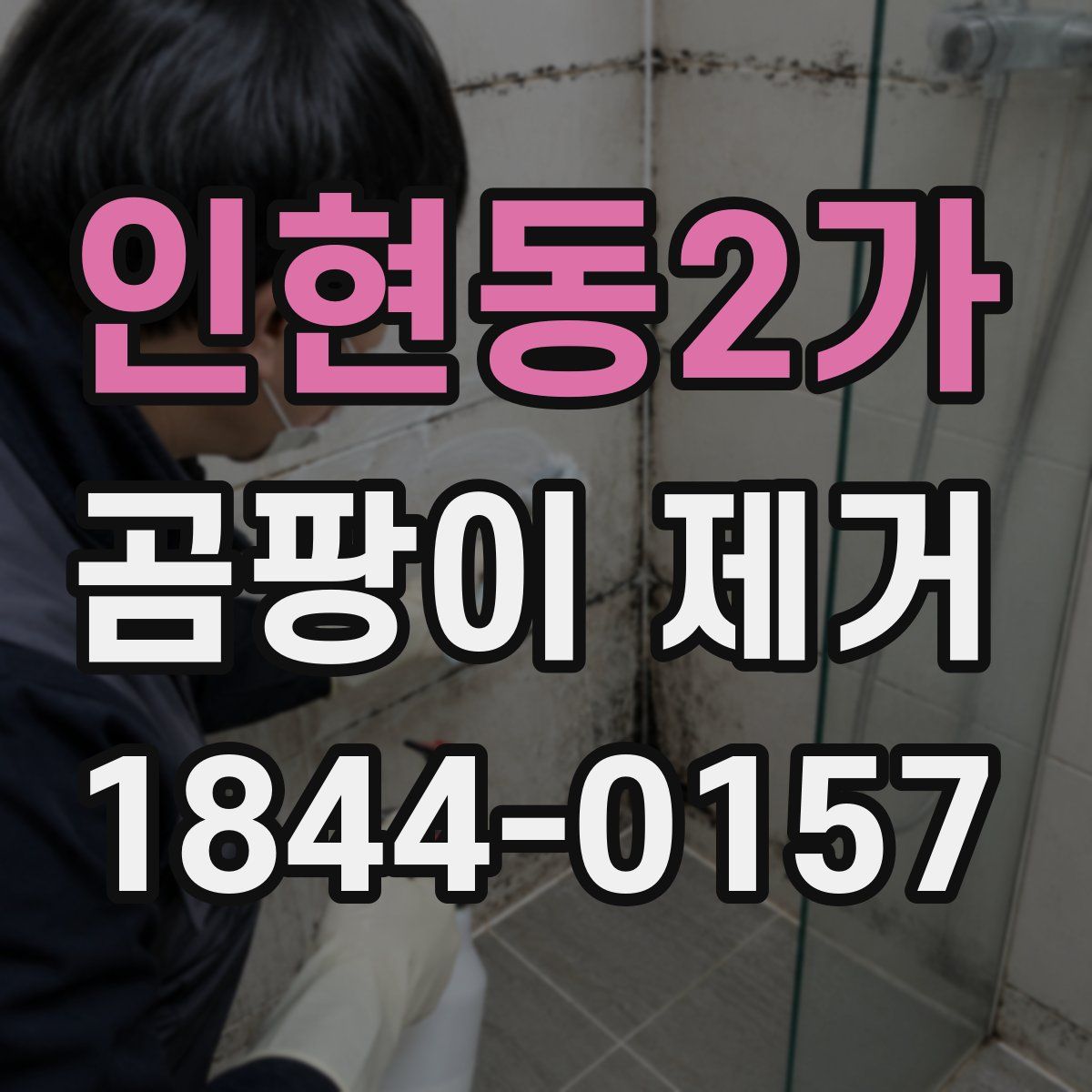 인현동2가 곰팡이 제거