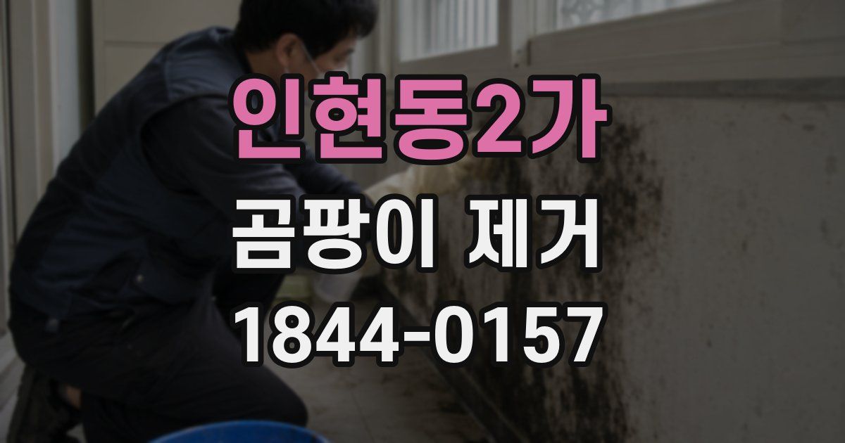 인현동2가 곰팡이 제거