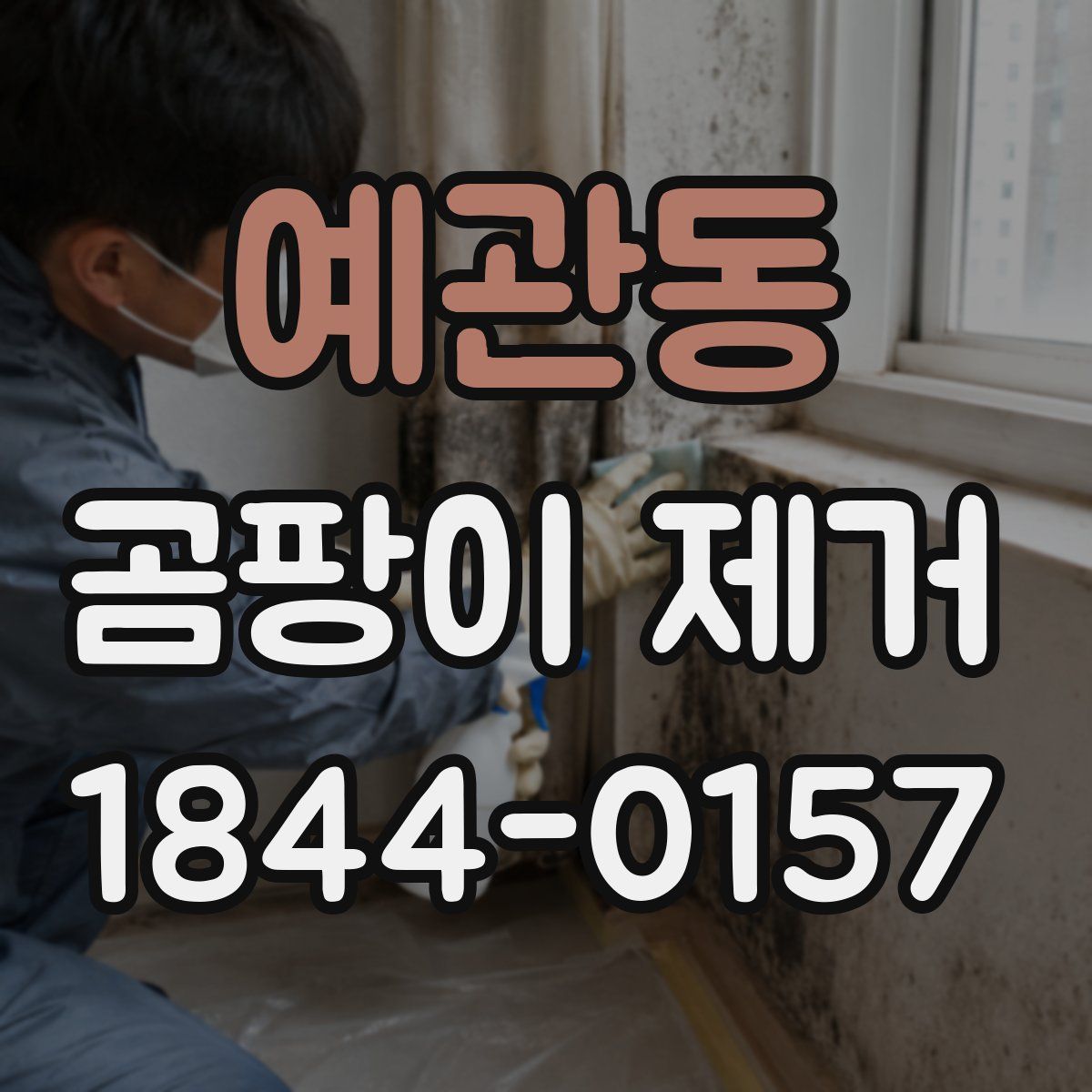 예관동 곰팡이 제거