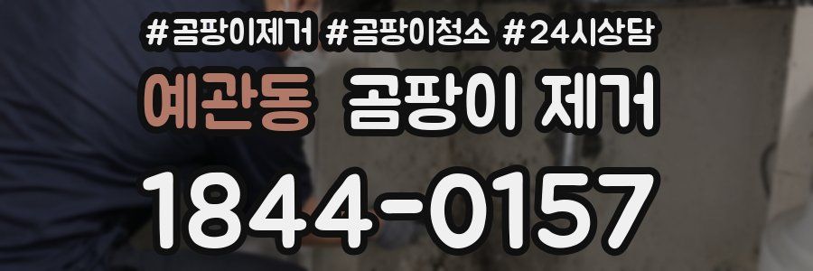 예관동 곰팡이 제거