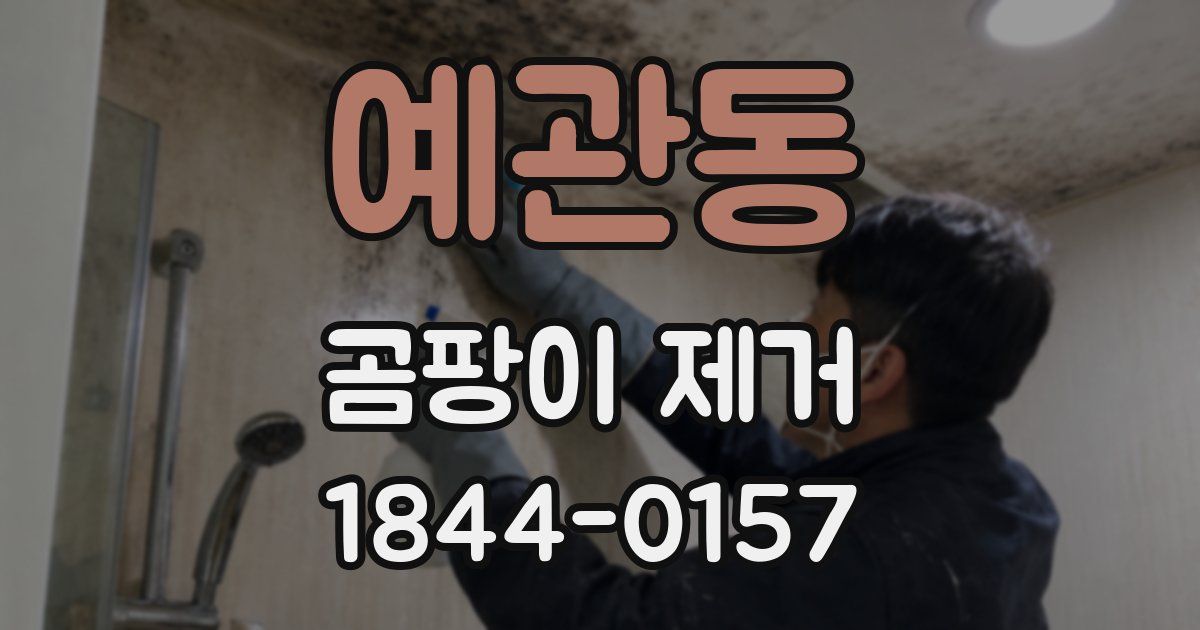 예관동 곰팡이 제거